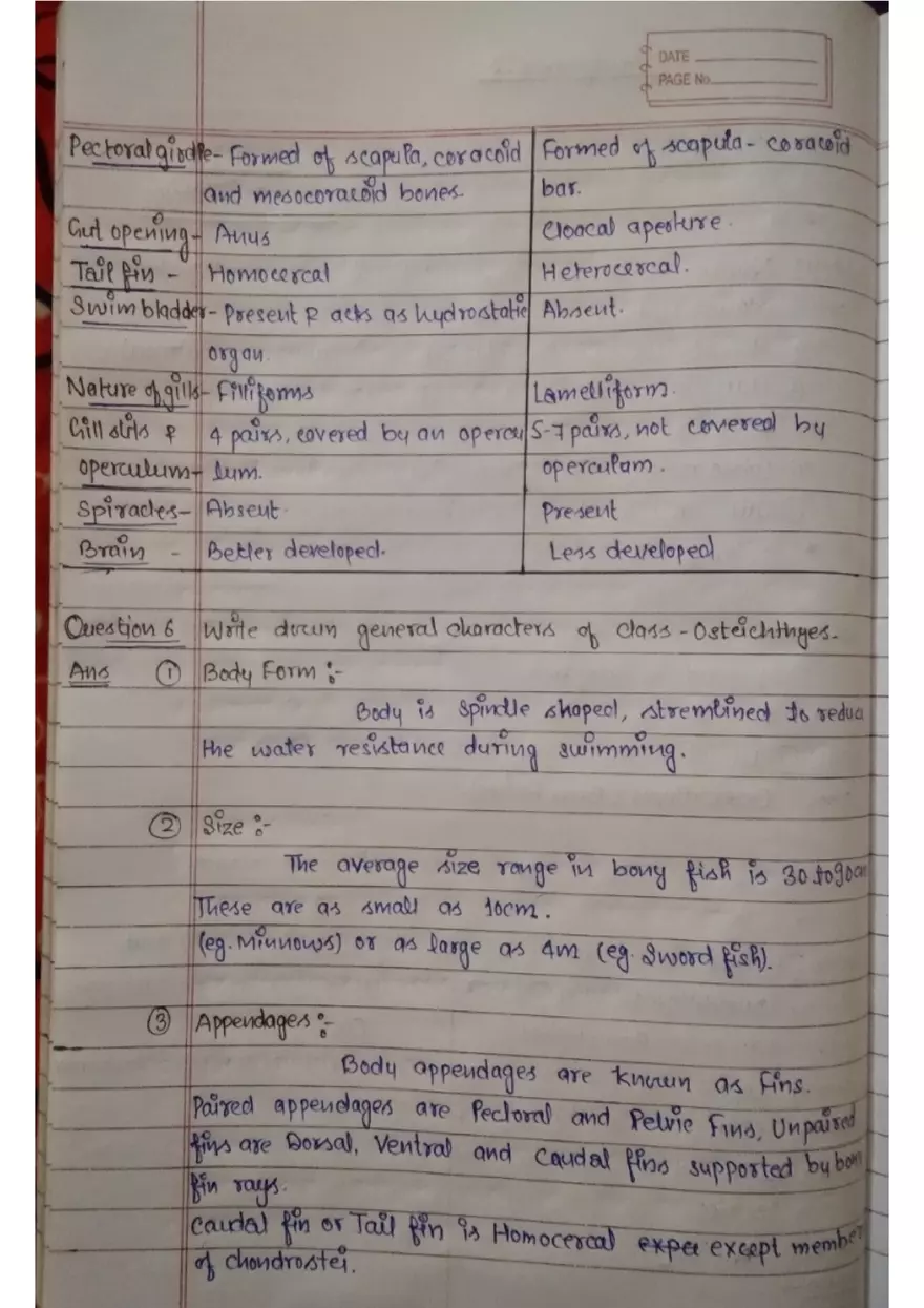 Assignment 3: Bony Fish - Page 2