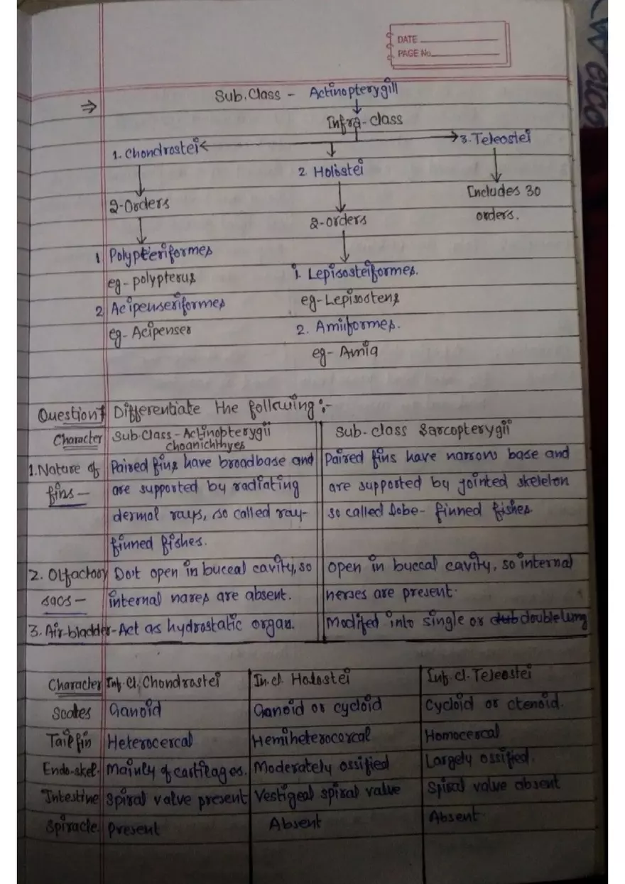 Assignment 3: Bony Fish - Page 3