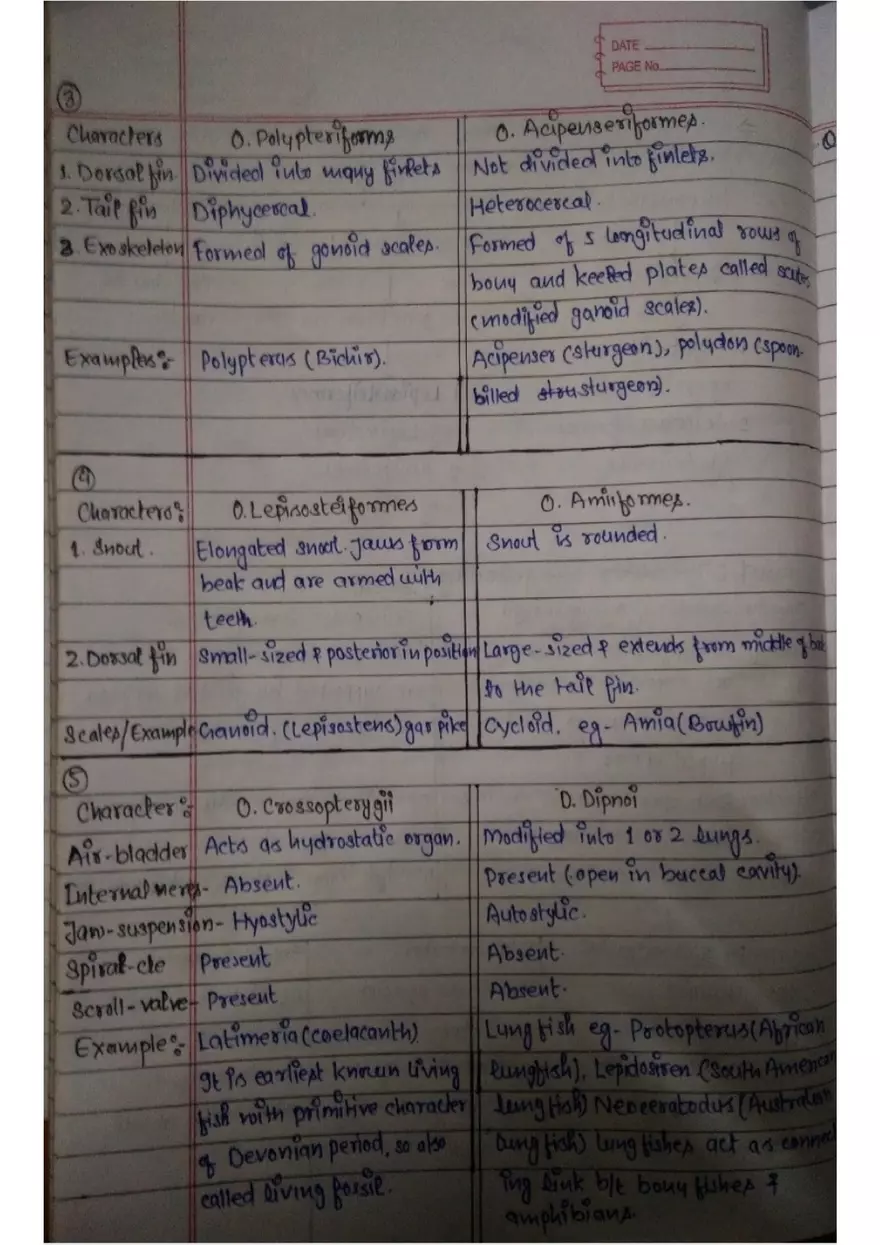 Assignment 3: Bony Fish - Page 4