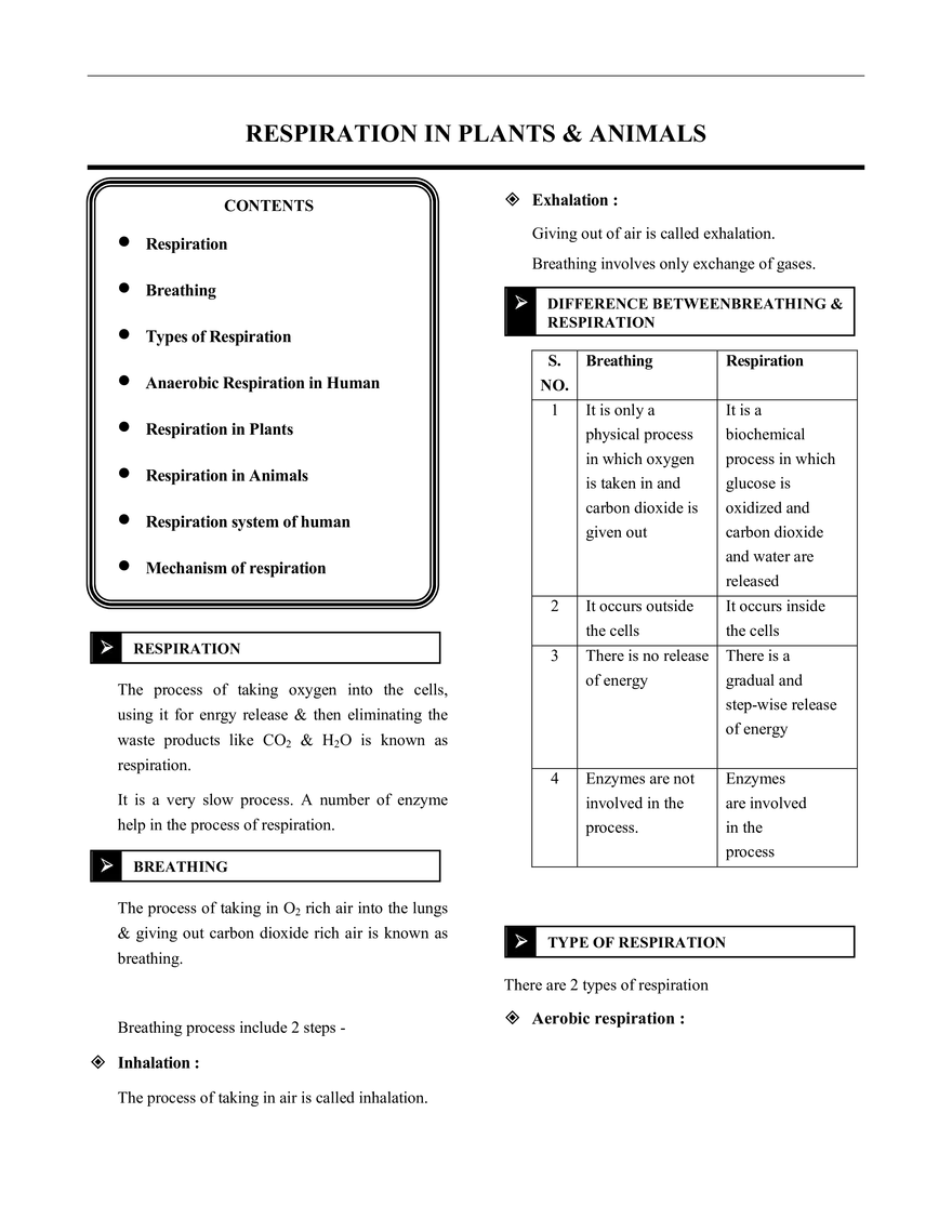 Respiration in Plants & Animals - Page 1