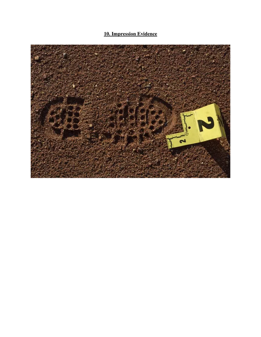 10. Impression Evidence - Page 1