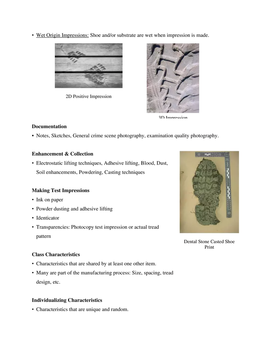 10. Impression Evidence - Page 3