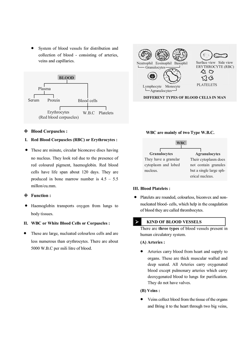 Transportation Notes - Page 2