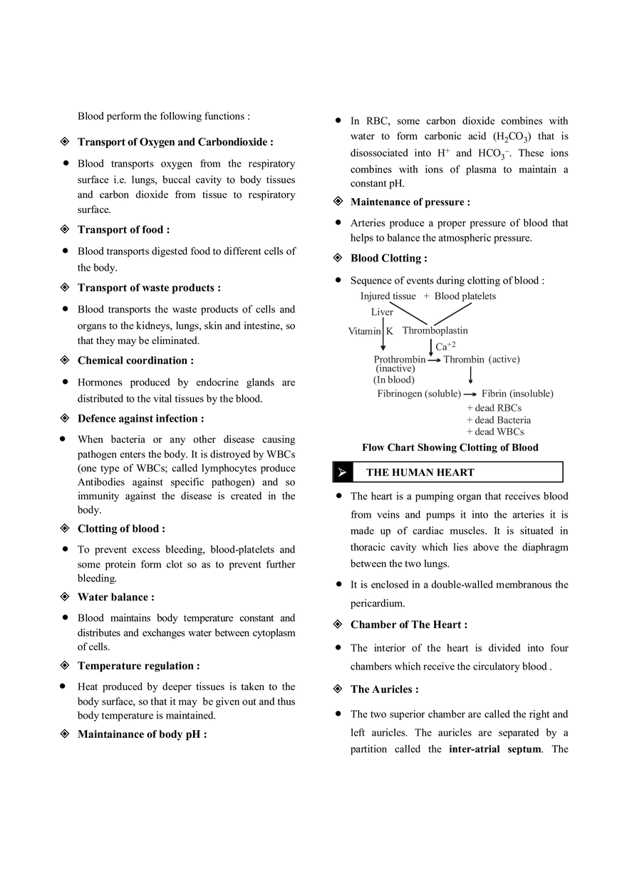 Transportation Notes - Page 4