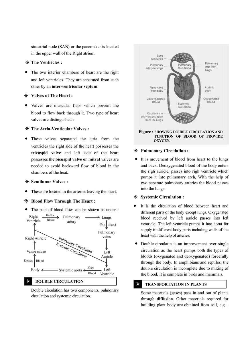 Transportation Notes - Page 5