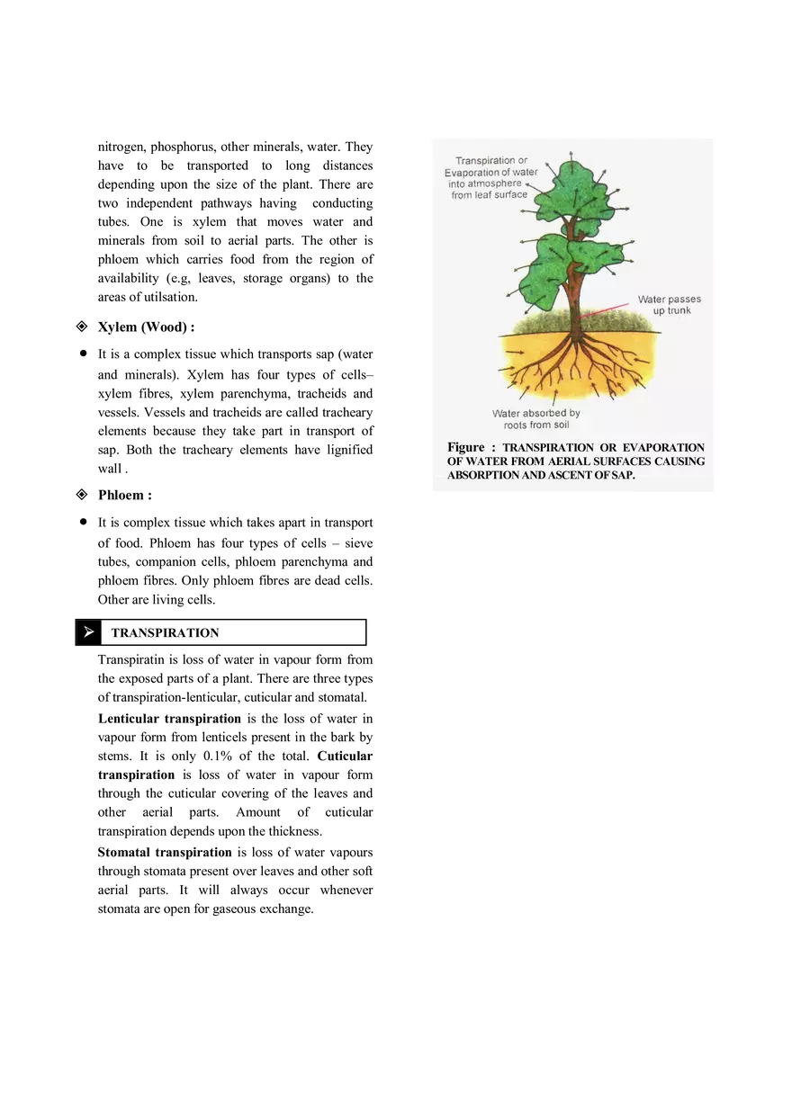 Transportation Notes - Page 6