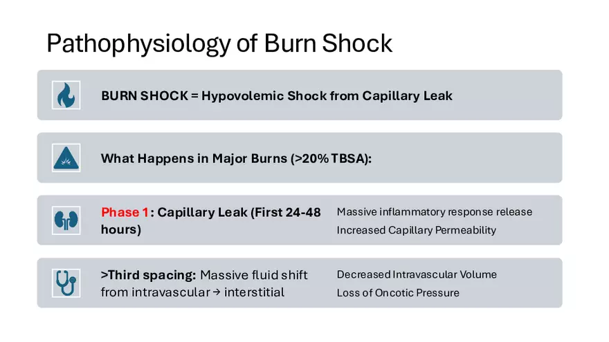 Integumentary Lecture 2026 - Page 8