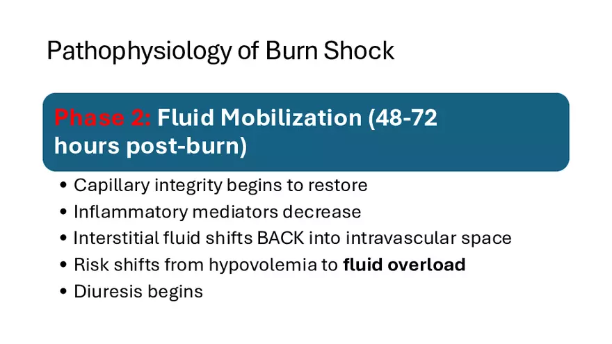 Integumentary Lecture 2026 - Page 9