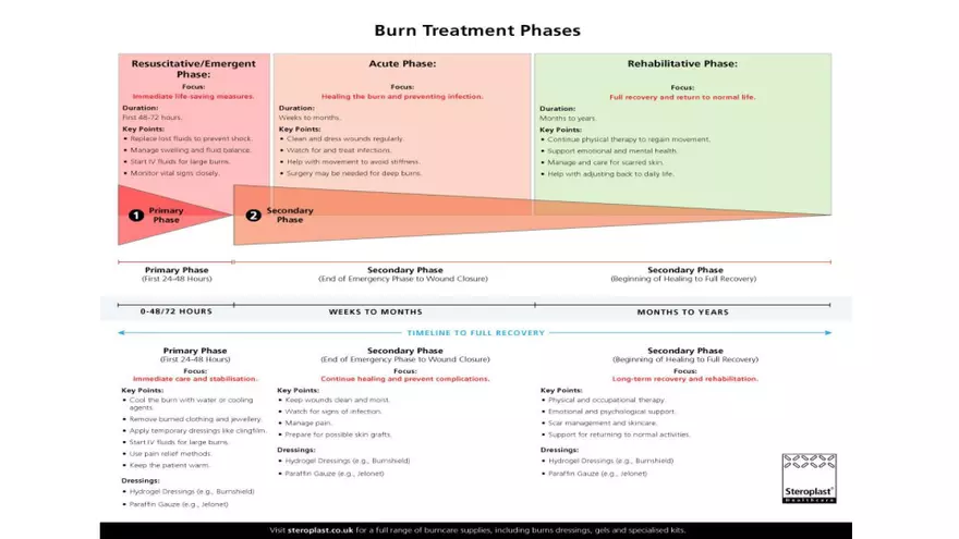 Integumentary Lecture 2026 - Page 18