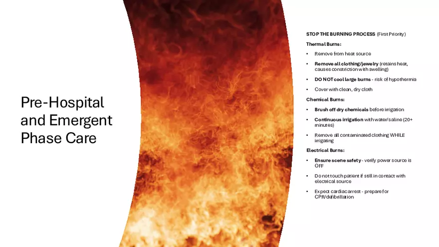 Integumentary Lecture 2026 - Page 19