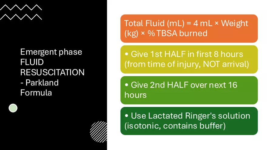 Integumentary Lecture 2026 - Page 23