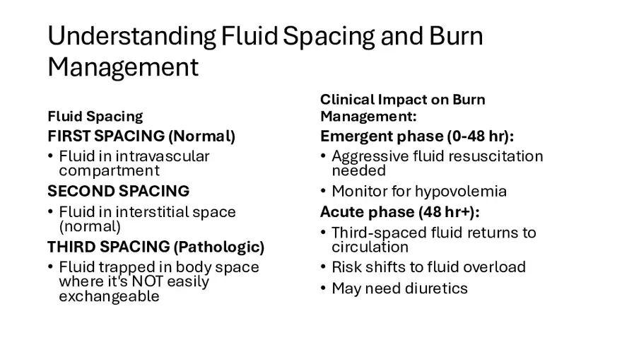 Integumentary Lecture 2026 - Page 28