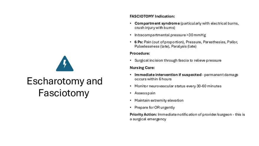 Integumentary Lecture 2026 - Page 30
