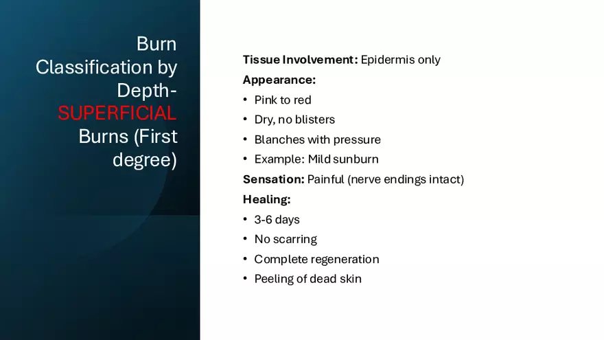 Integumentary Lecture 2026 - Page 46