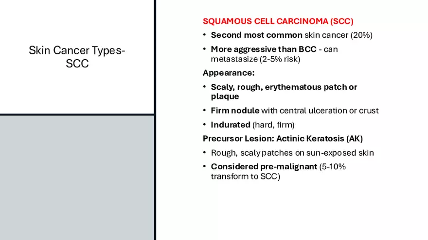 Integumentary Lecture 2026 - Page 52