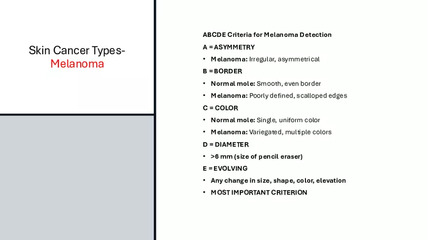 Integumentary Lecture 2026 - Page 55