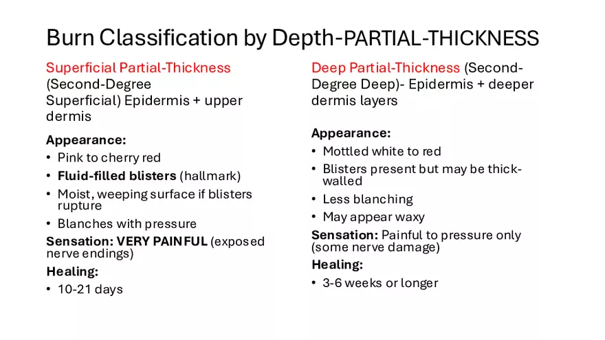 Integumentary Lecture 2026 - Page 57