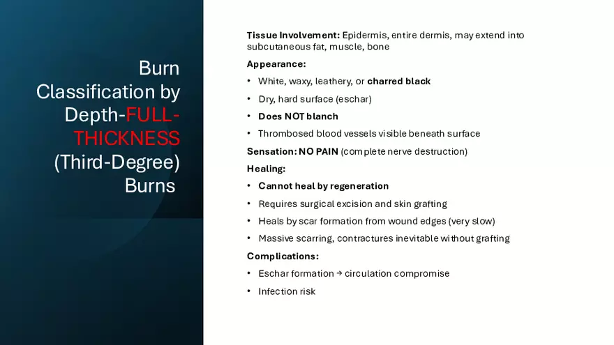 Integumentary Lecture 2026 - Page 59