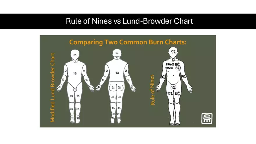 Integumentary Lecture 2026 - Page 5