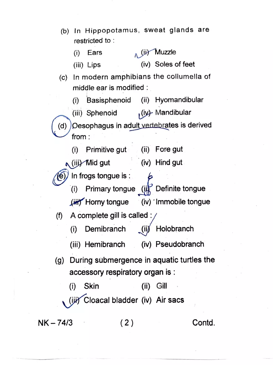 Melanocytes Multiple Choice Questions - Page 2