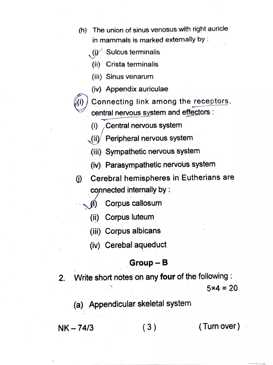 Melanocytes Multiple Choice Questions - Page 3
