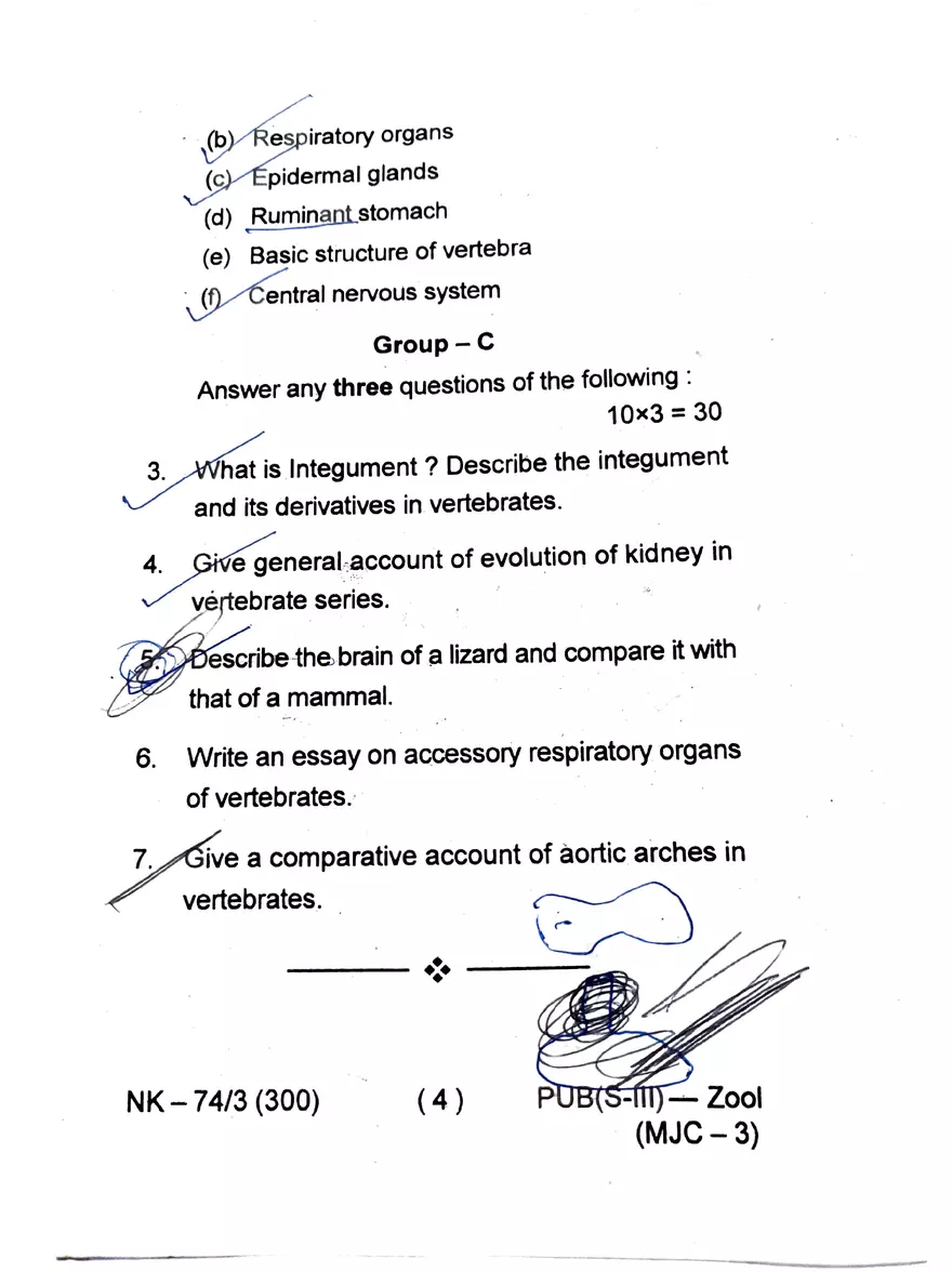 Melanocytes Multiple Choice Questions - Page 4