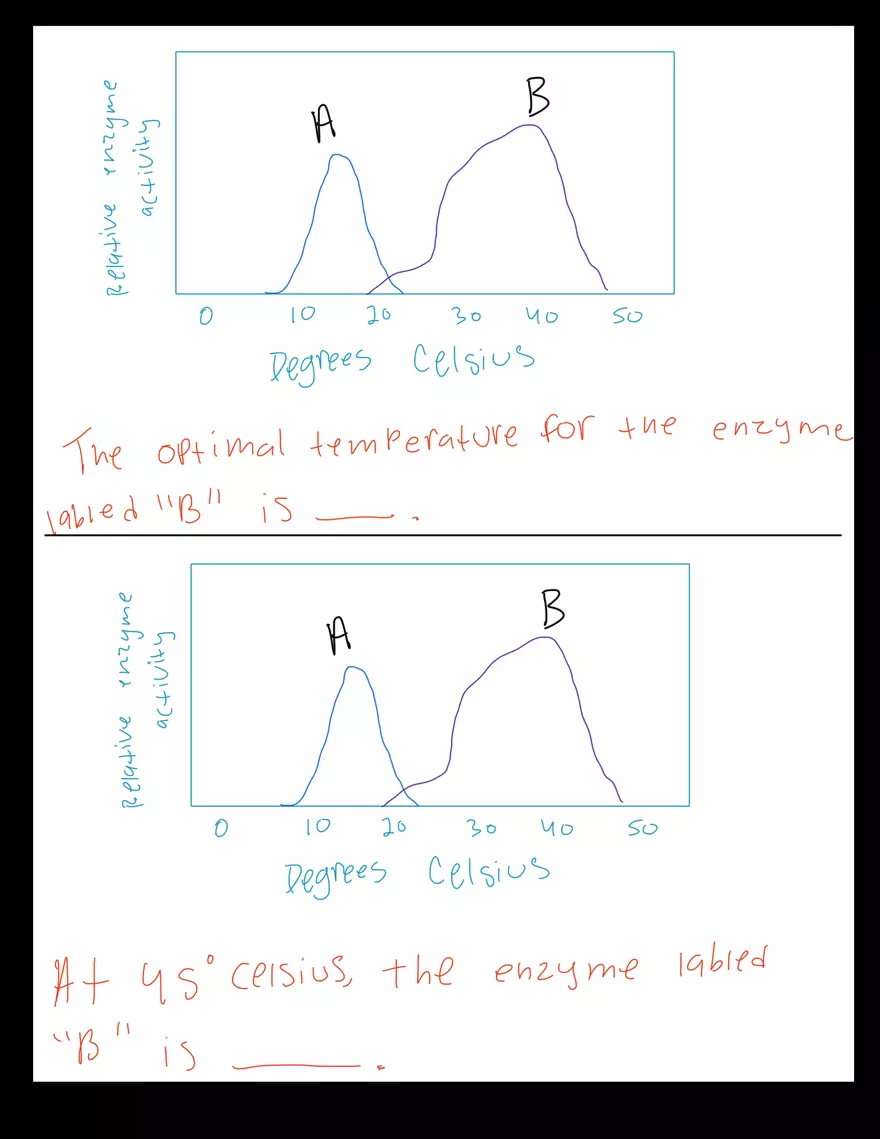 Biology 1106 - Lab Exam - Page 3