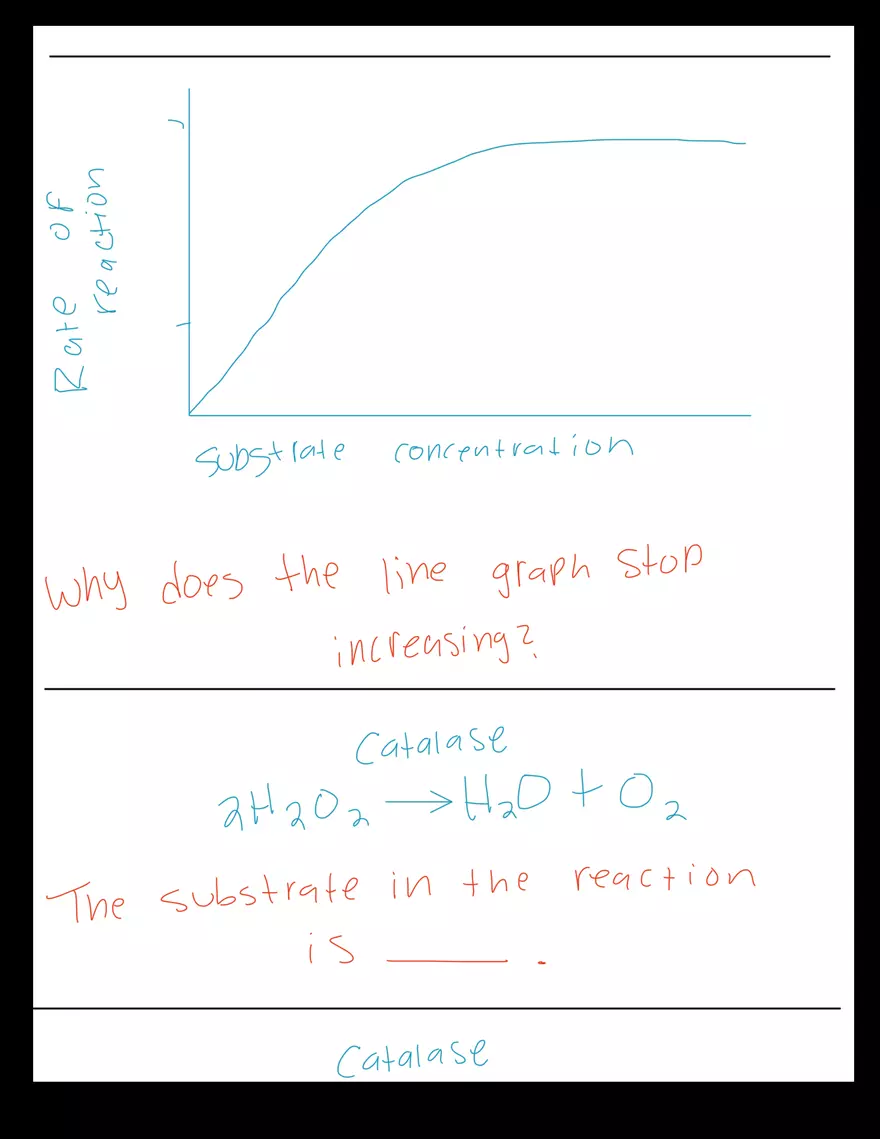 Biology 1106 - Lab Exam - Page 4