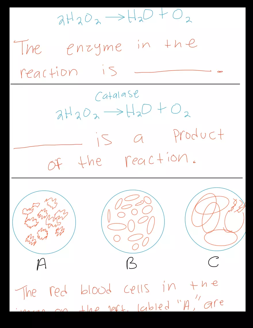 Biology 1106 - Lab Exam - Page 5