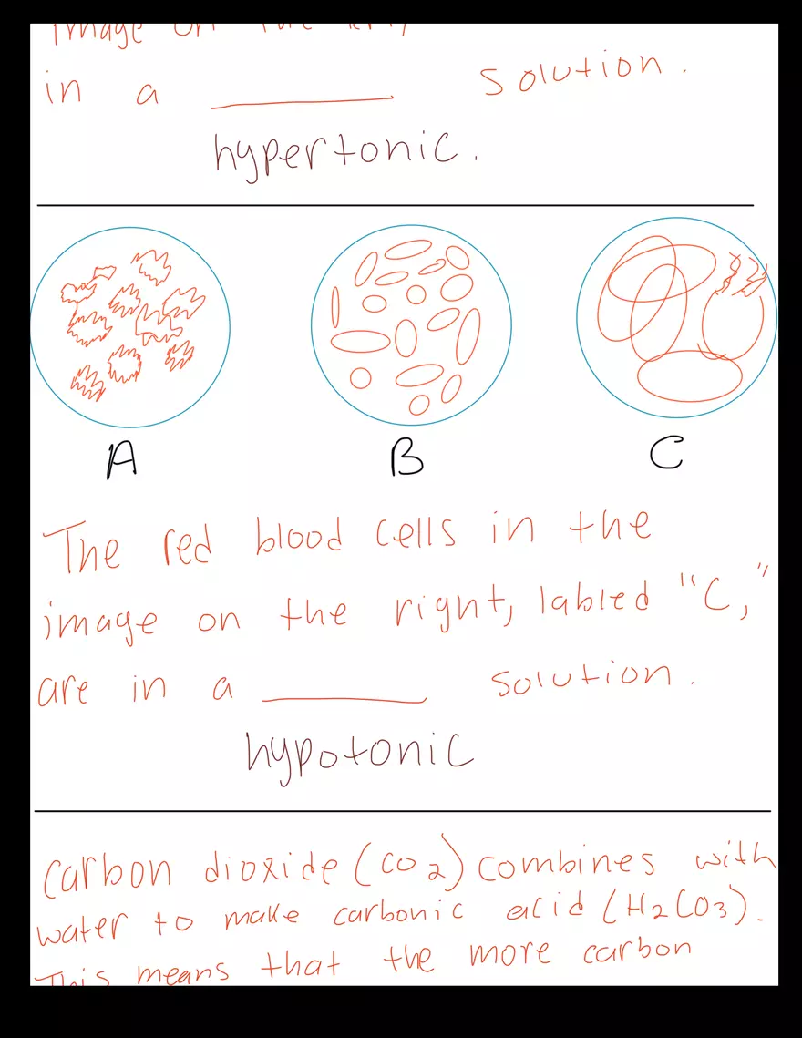 Biology 1106 - Lab Exam - Page 6