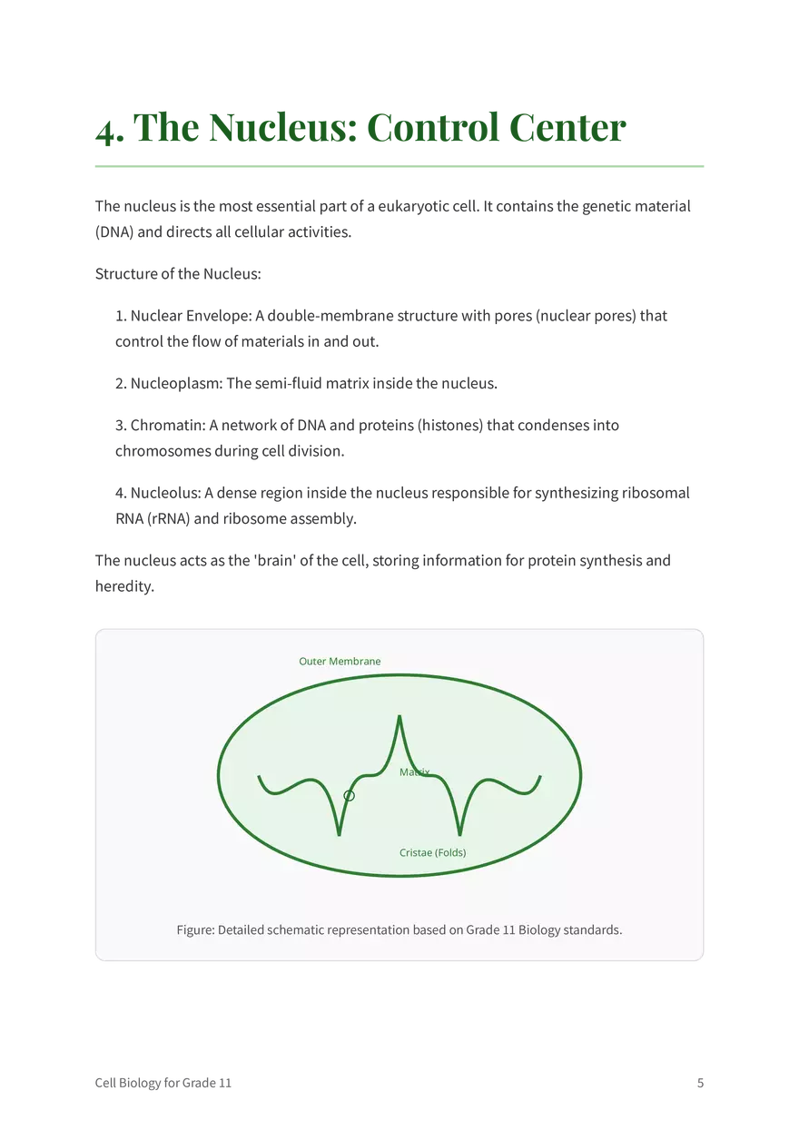 The Fundamentals of Cell Biology Grade 11 - Page 11