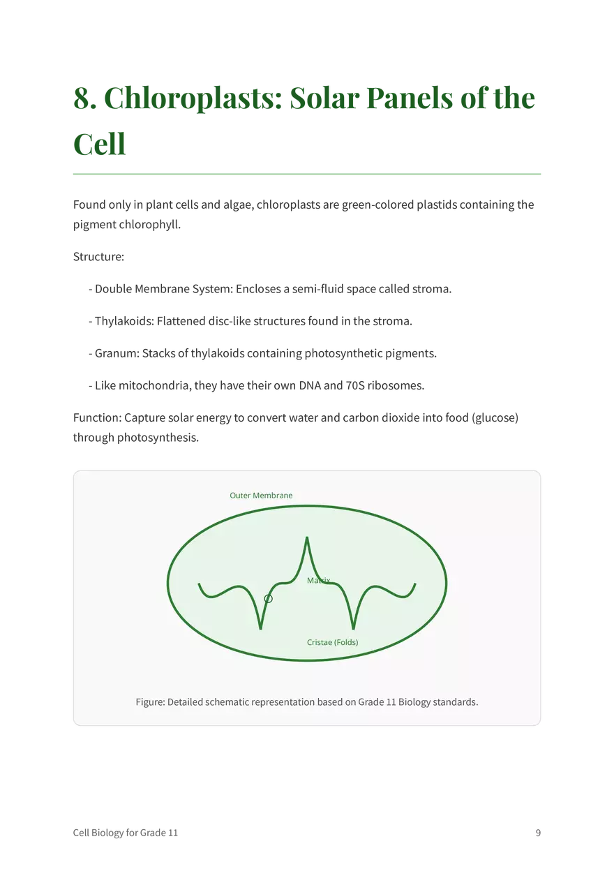 The Fundamentals of Cell Biology Grade 11 - Page 15