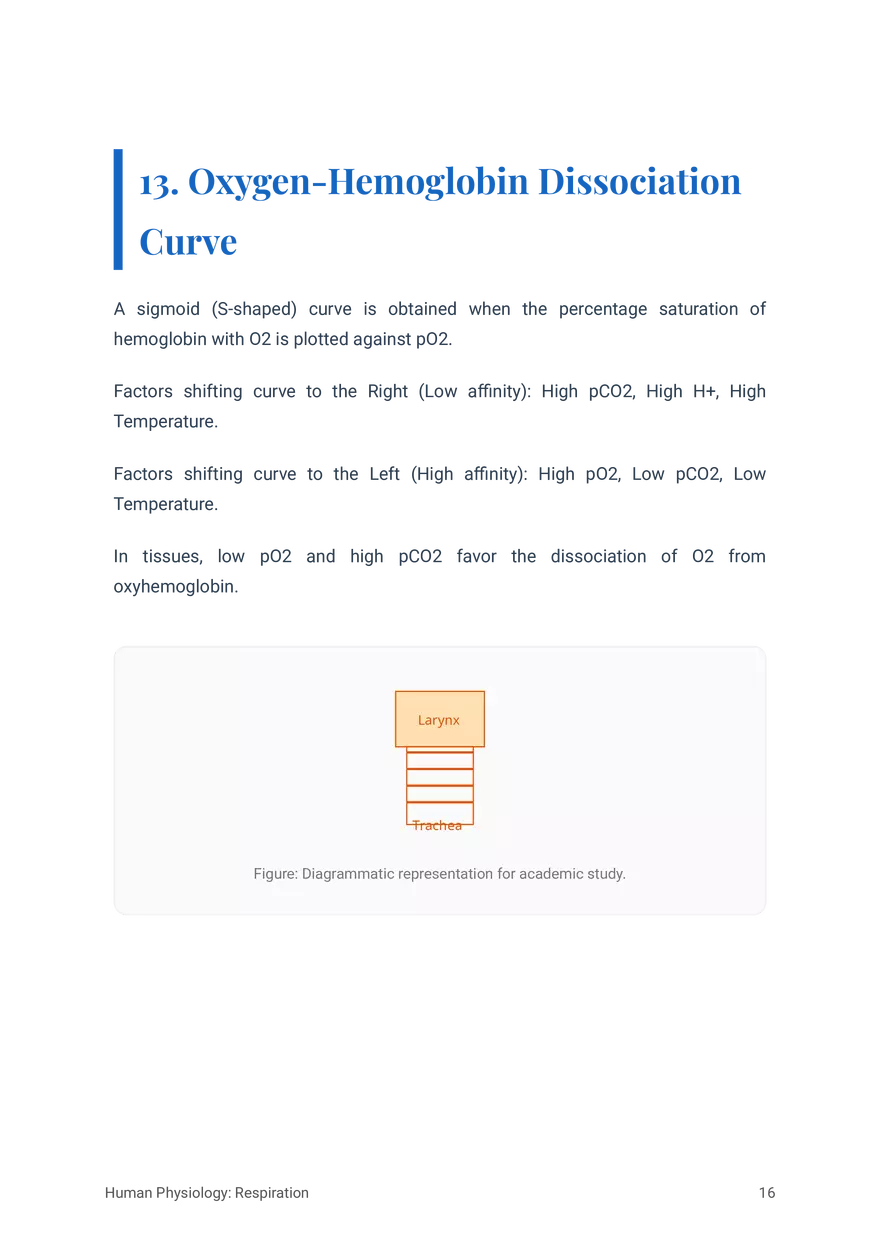Respiratory System in Humans Grade 11 - Page 8