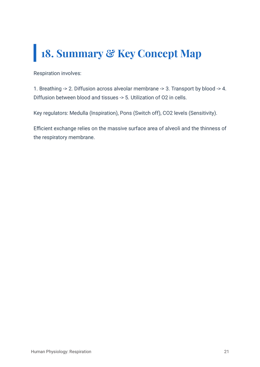 Respiratory System in Humans Grade 11 - Page 14