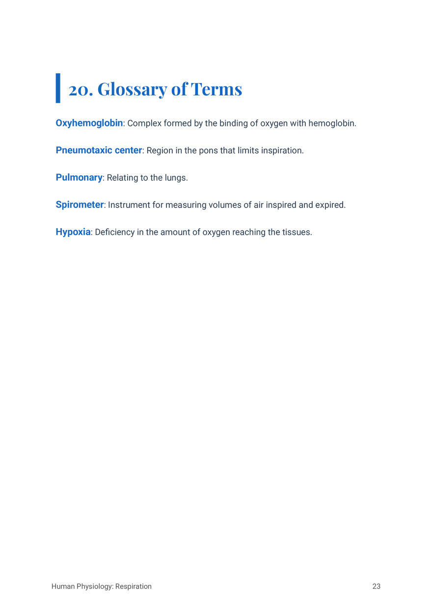 Respiratory System in Humans Grade 11 - Page 16