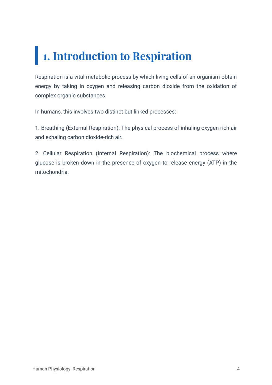 Respiratory System in Humans Grade 11 - Page 17