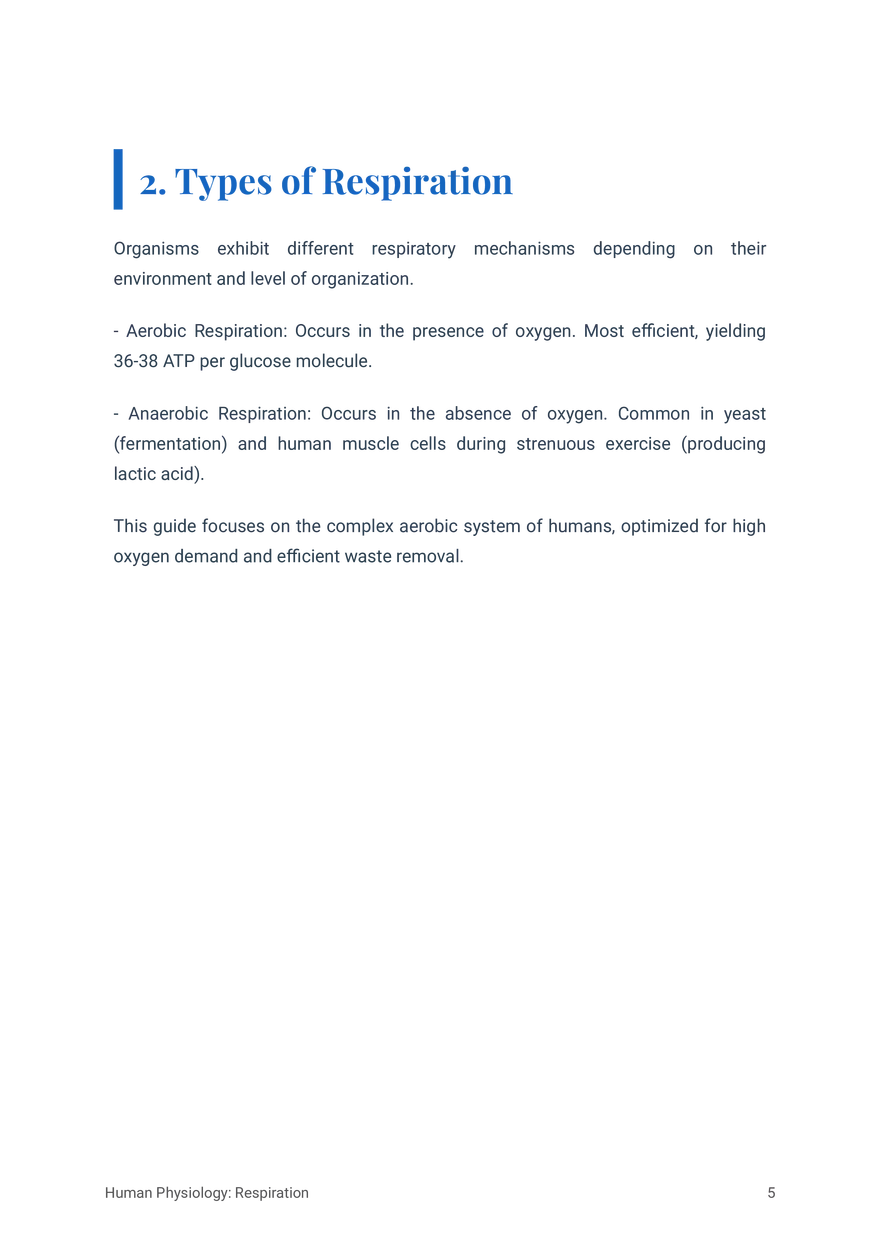 Respiratory System in Humans Grade 11 - Page 18