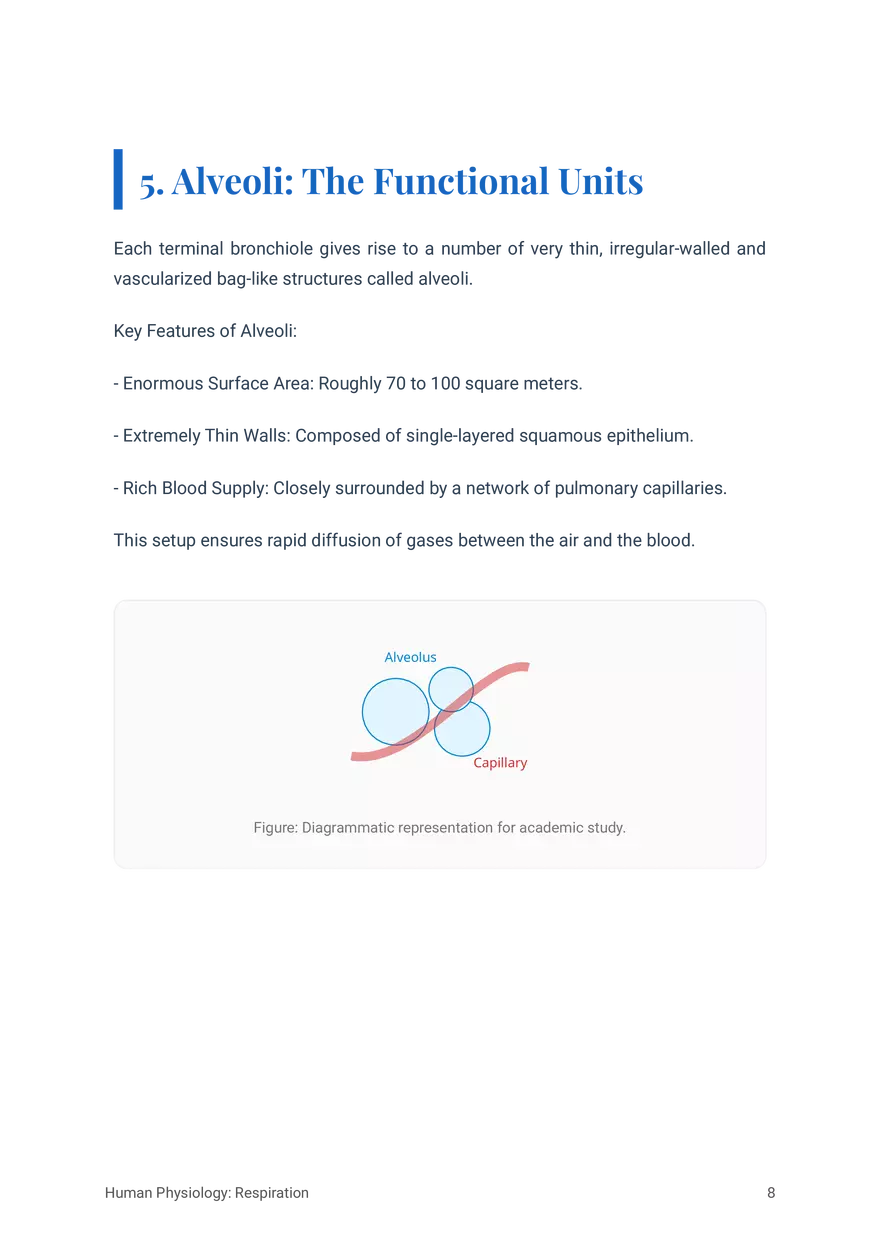 Respiratory System in Humans Grade 11 - Page 21