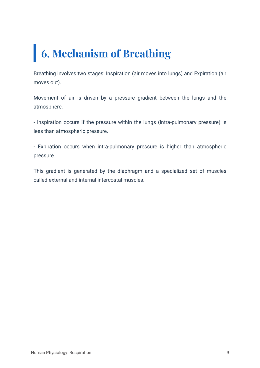 Respiratory System in Humans Grade 11 - Page 22