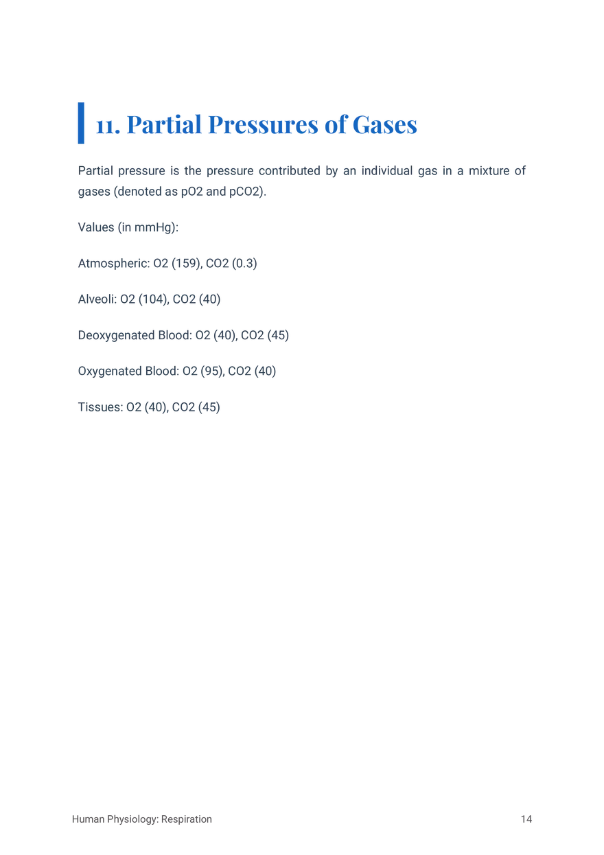 Respiratory System in Humans Grade 11 - Page 6
