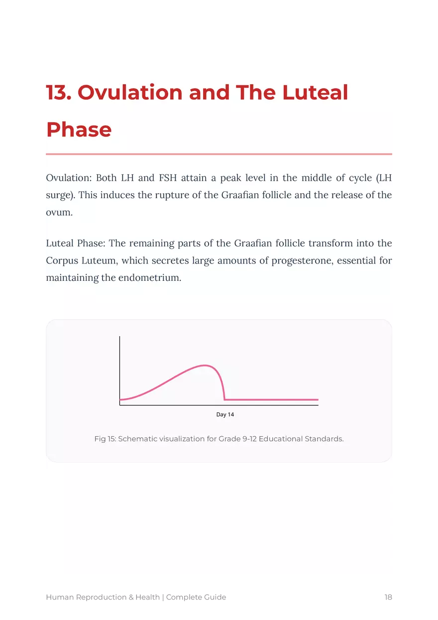 Human Reproduction: A Comprehensive Educational Guide For Grades 9-12 - Page 10