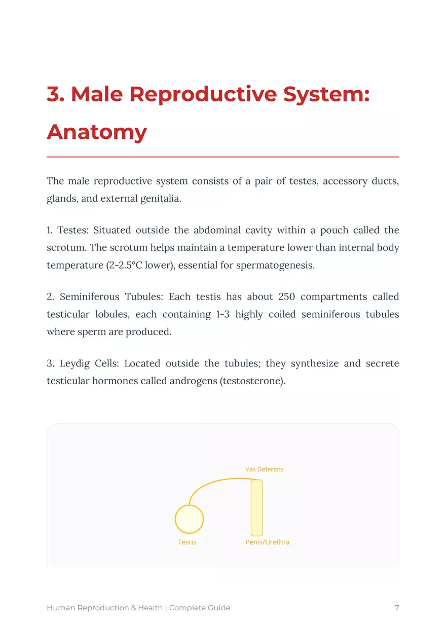 Human Reproduction: A Comprehensive Educational Guide For Grades 9-12 - Page 30