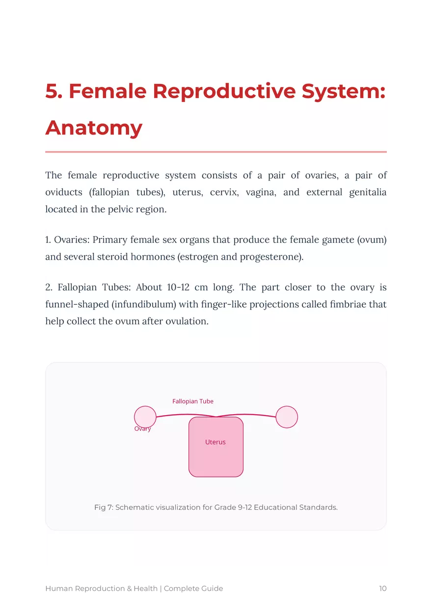 Human Reproduction: A Comprehensive Educational Guide For Grades 9-12 - Page 33