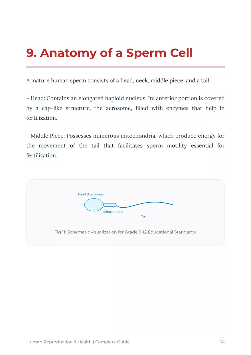 Human Reproduction: A Comprehensive Educational Guide For Grades 9-12 - Page 6