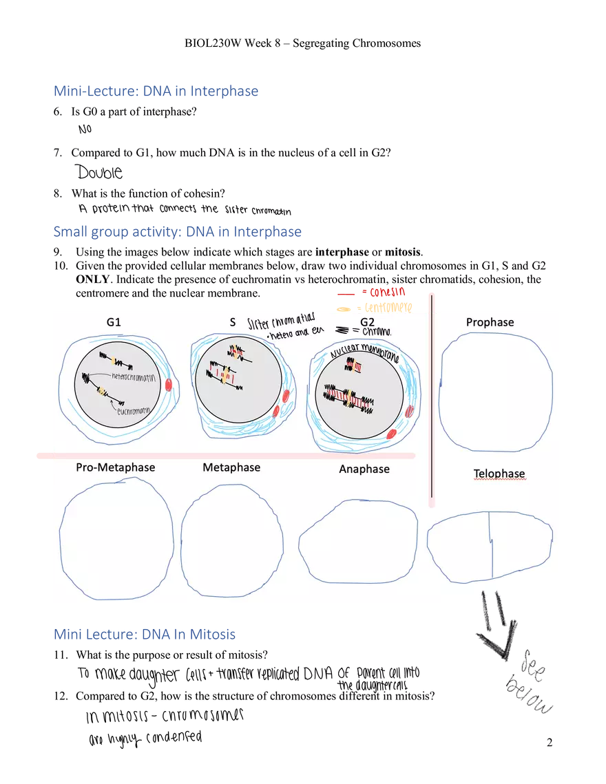 Bio 230W Week 8 Learning Guide with Answers - Page 2