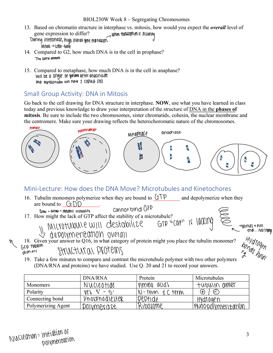 Bio 230W Week 8 Learning Guide with Answers - Page 3