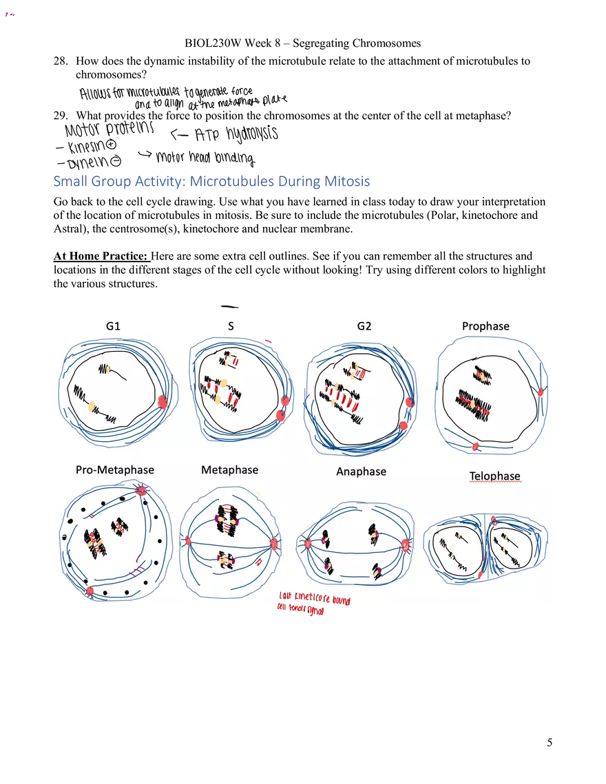 Bio 230W Week 8 Learning Guide with Answers - Page 5