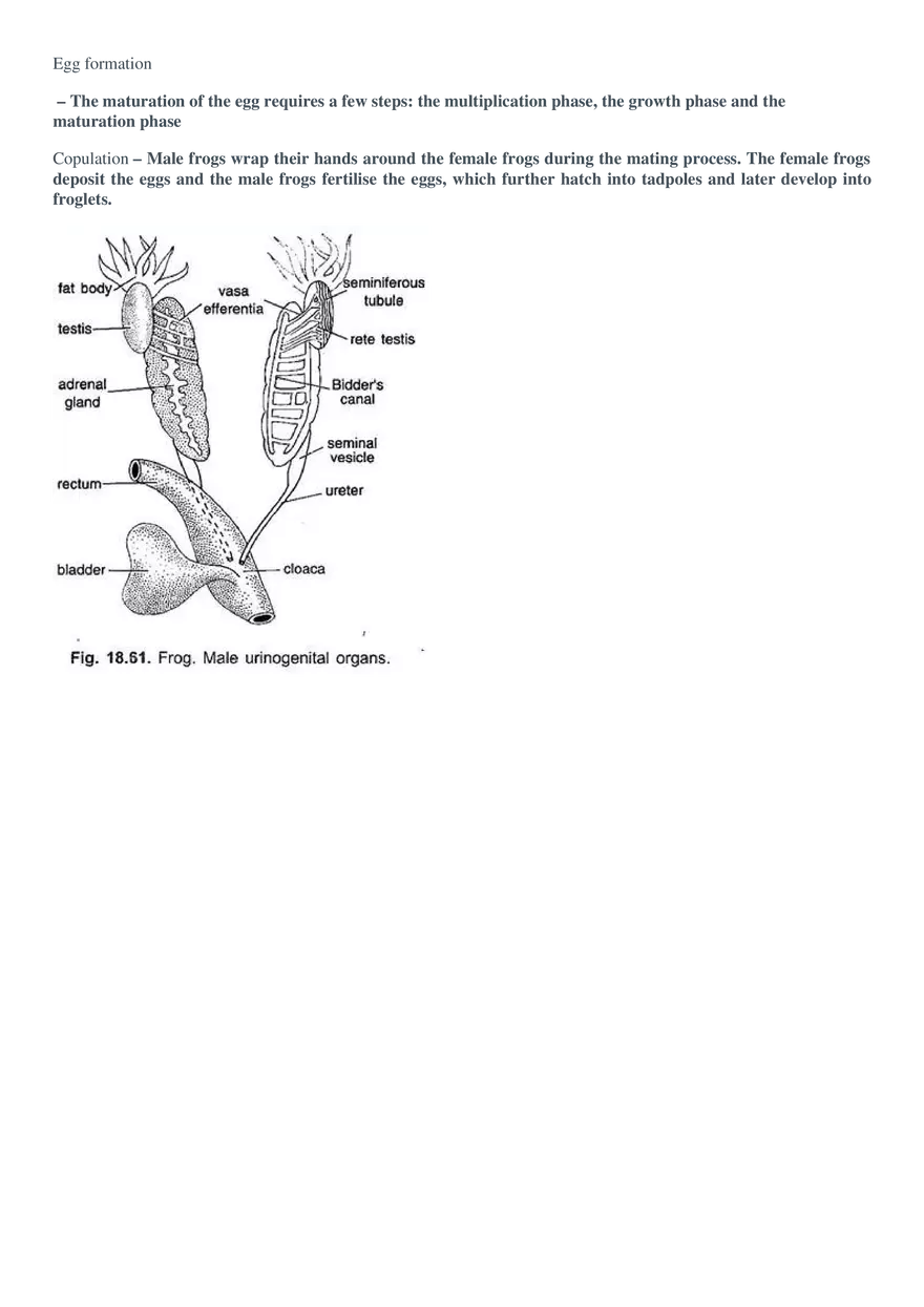 Respiration (Botany) - Page 19
