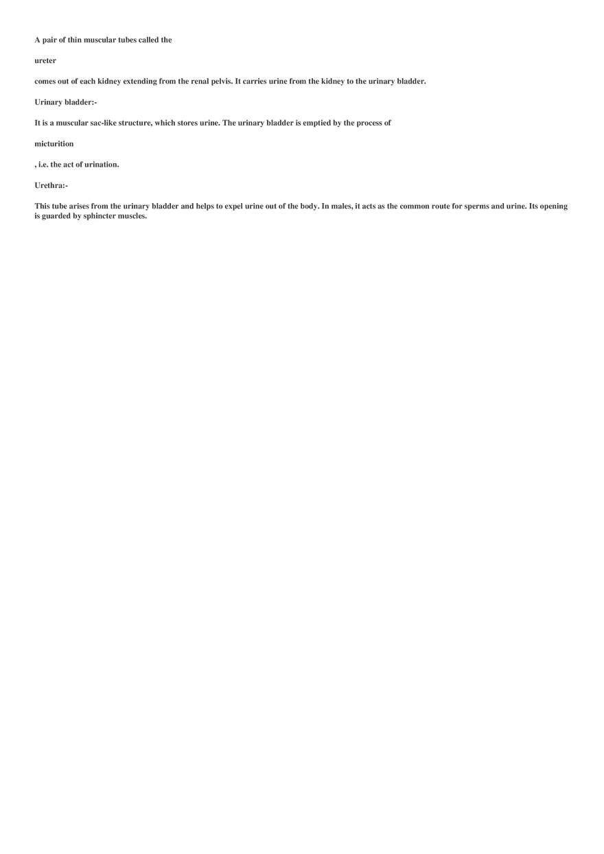 Respiration (Botany) - Page 21