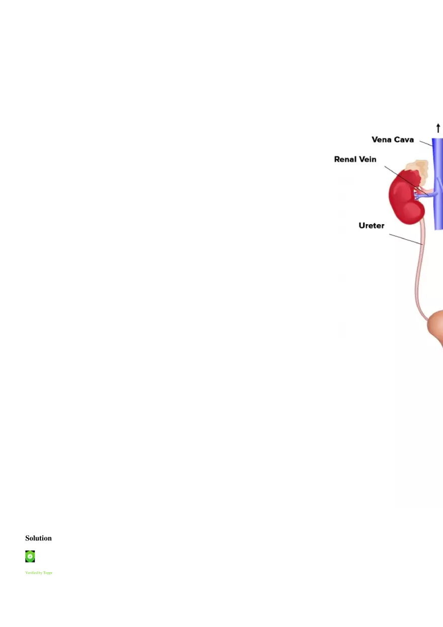 Respiration (Botany) - Page 22